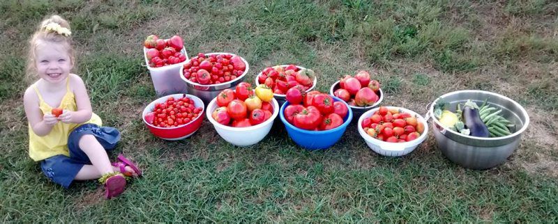 early-garden04.jpg